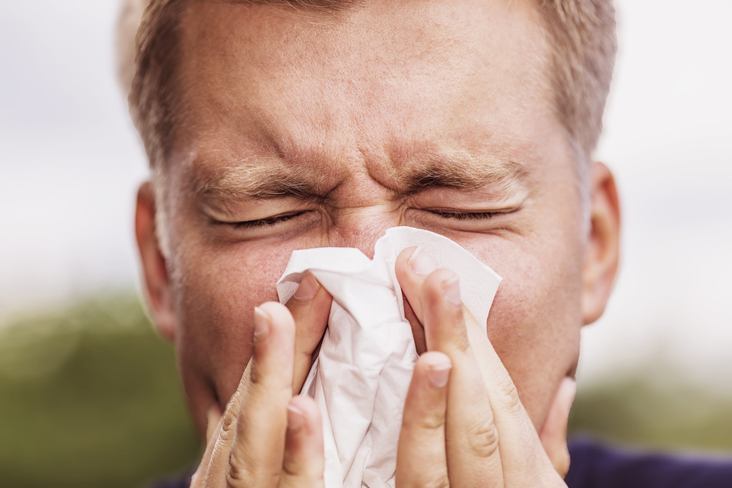 Man sneezing due to hay fever